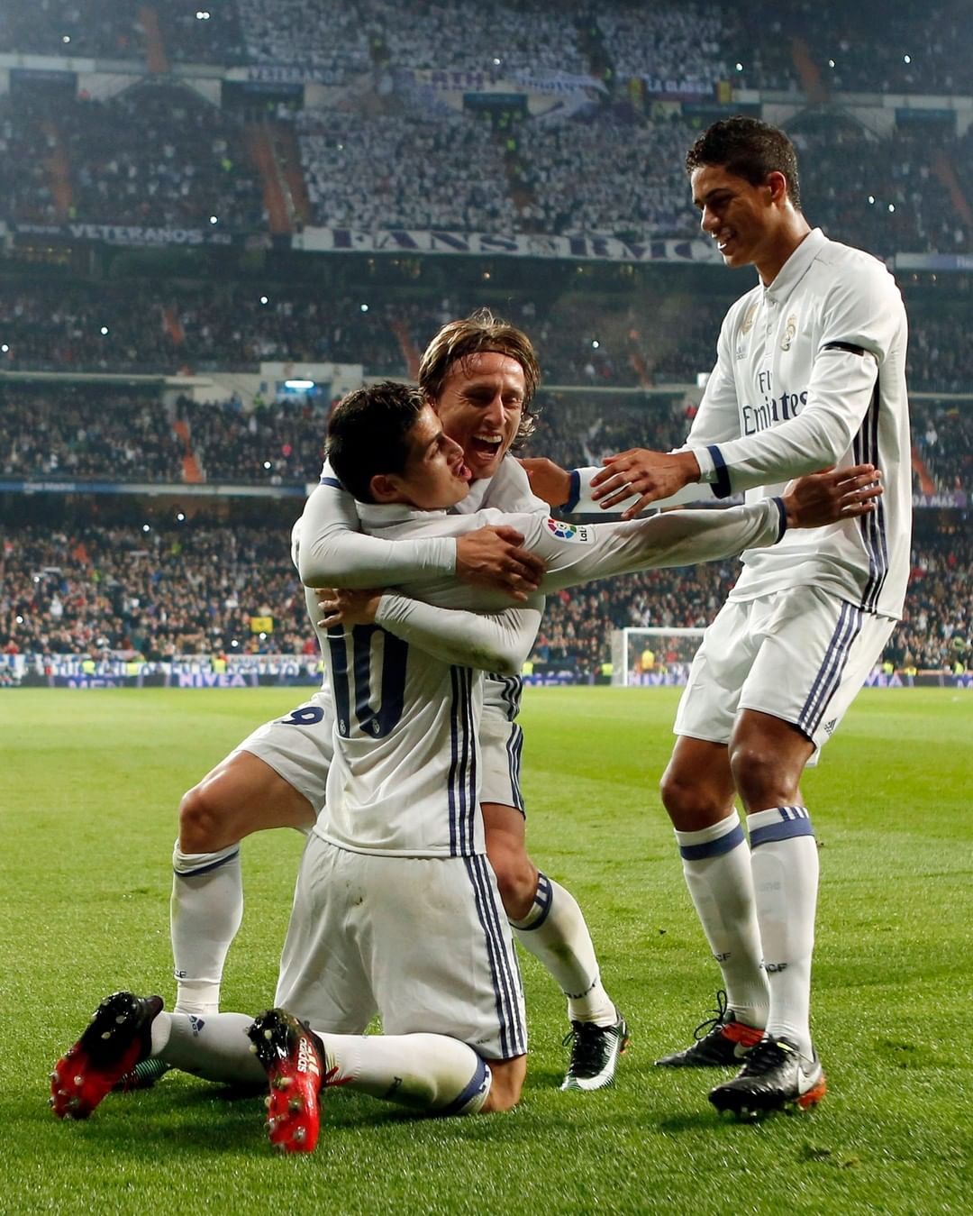 不可忽视的 不可忽视的